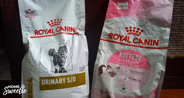 Royal Canin Urinary SO Kitten