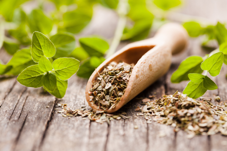 Health Benefits of Oregano